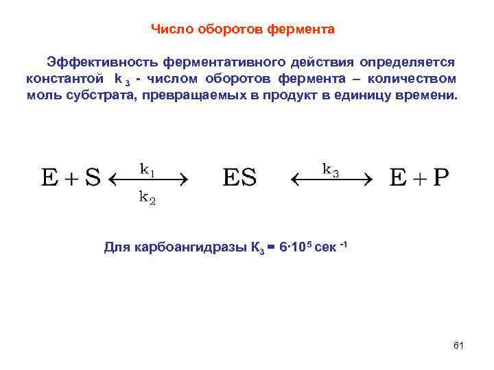  Число оборотов фермента Эффективность ферментативного действия определяется константой k 3 - числом оборотов