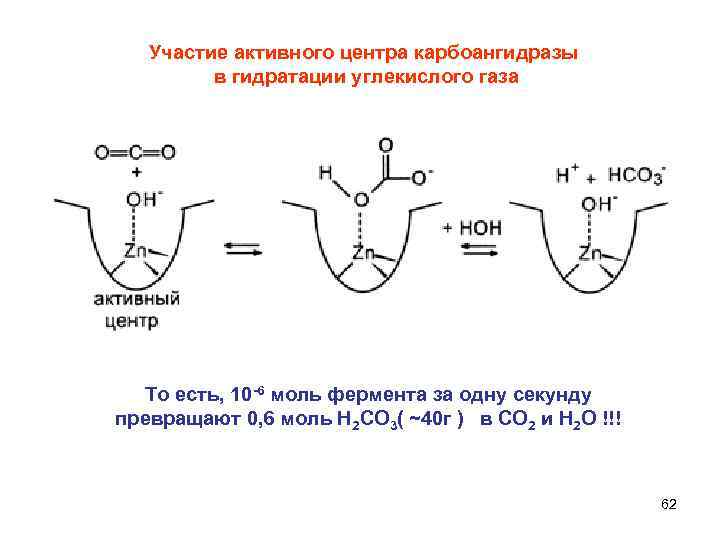  Участие активного центра карбоангидразы в гидратации углекислого газа То есть, 10 -6 моль
