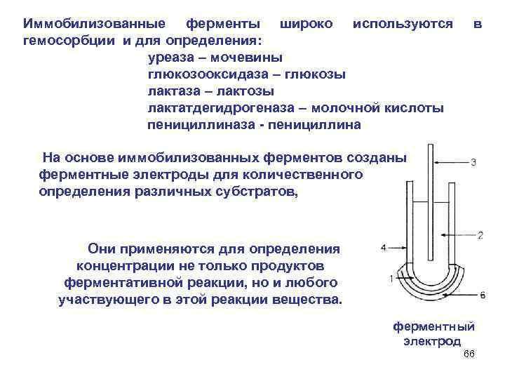 Иммобилизованные ферменты широко используются в гемосорбции и для определения: уреаза – мочевины глюкозооксидаза –