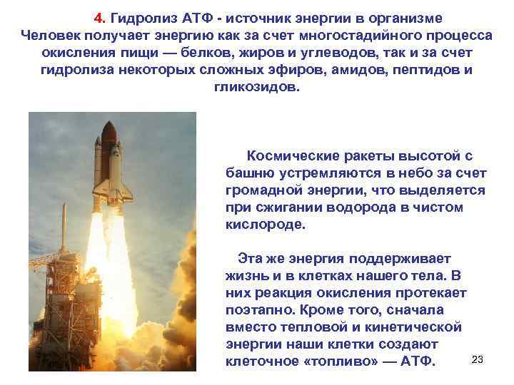    4. Гидролиз АТФ - источник энергии в организме Человек получает энергию