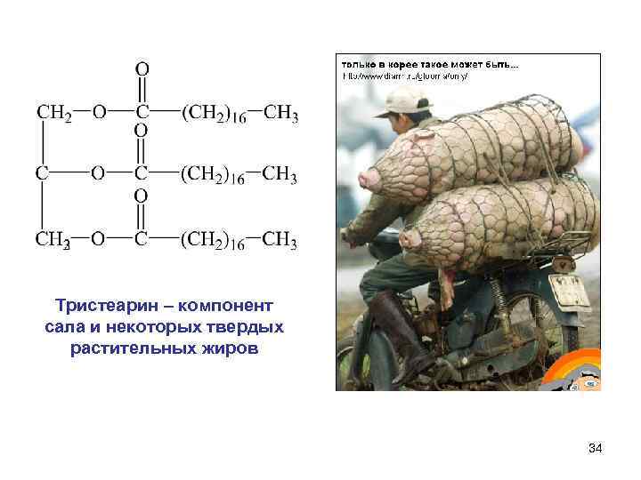  Тристеарин – компонент сала и некоторых твердых  растительных жиров   