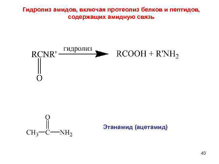 Гидролиз амидов, включая протеолиз белков и пептидов,    содержащих амидную связь 