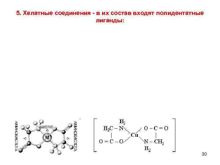 5. Хелатные соединения - в их состав входят полидентатные лиганды: 30 