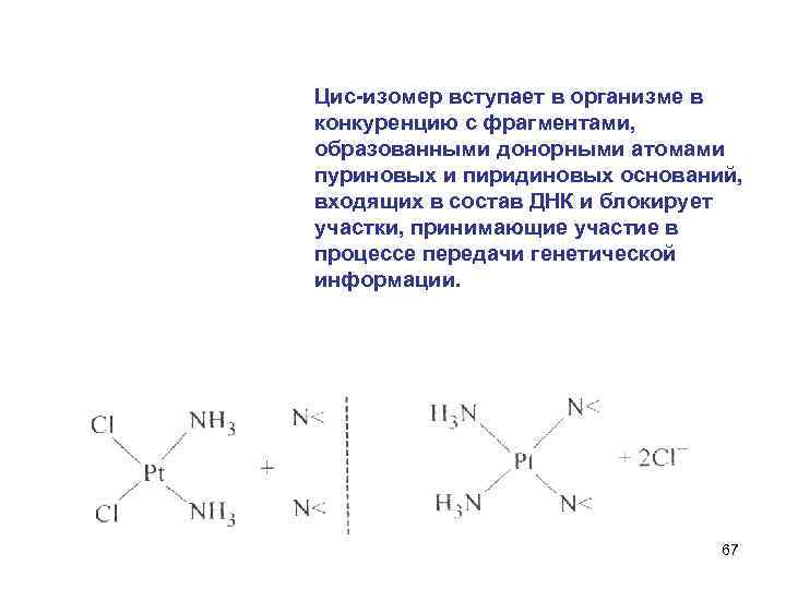 Цис-изомер вступает в организме в конкуренцию с фрагментами, образованными донорными атомами пуриновых и пиридиновых