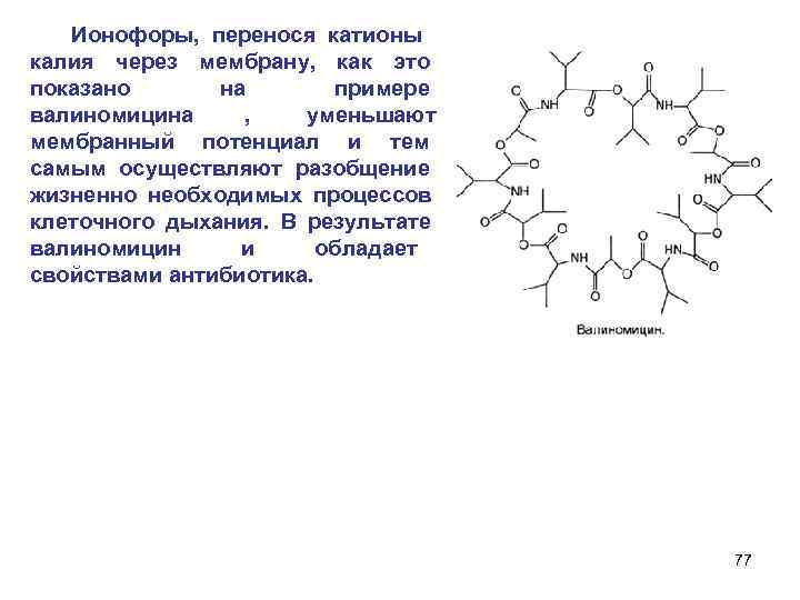  Ионофоры, перенося катионы калия через мембрану, как это показано на примере валиномицина ,