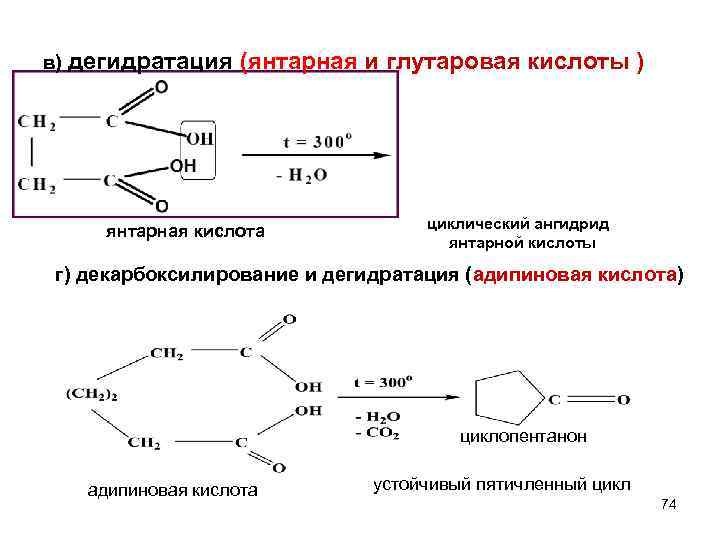 Электронный кислота. Глутаровая кислота образование ангидрида. Формула глутаровой кислоты. Внутримолекулярная дегидратация янтарной кислоты. Ангидрид янтарной кислоты формула.