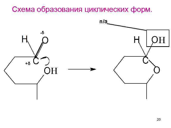 Схема образования циклических форм. п/а -δ Н +δ Н 25 