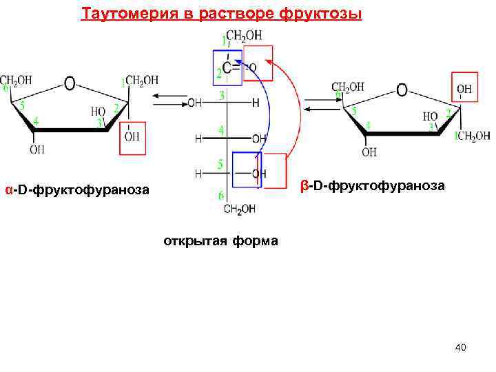  Таутомерия в растворе фруктозы α-D-фруктофураноза β-D-фруктофураноза открытая форма 40 