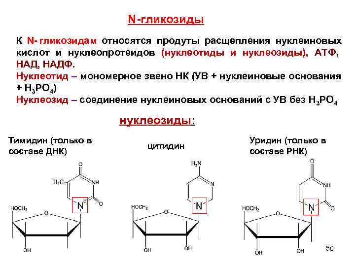  N-гликозиды К N- гликозидам относятся продуты расщепления нуклеиновых кислот и нуклеопротеидов (нуклеотиды и