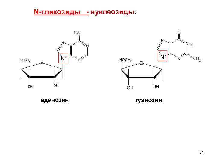 N-гликозиды - нуклеозиды: аденозин гуанозин 51 