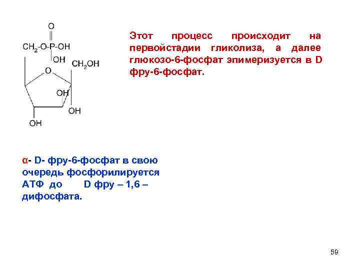  Этот процесс происходит на первойстадии гликолиза, а далее глюкозо-6 -фосфат эпимеризуется в D