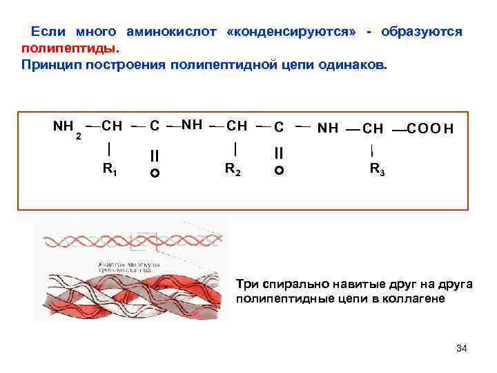 Определите последовательность полипептидной цепи