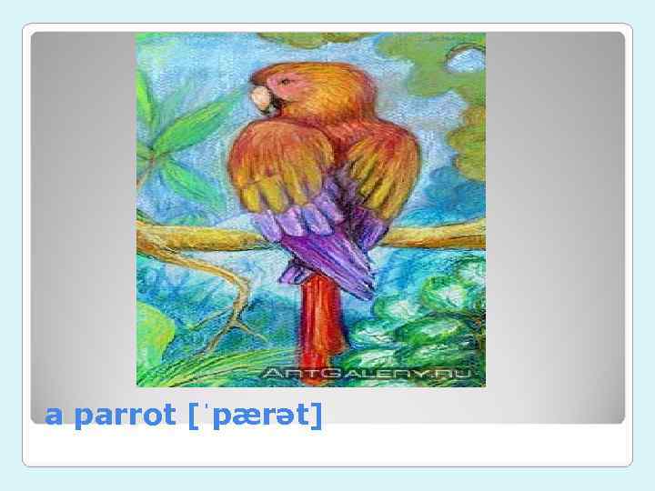 a parrot [ˈpærət] 