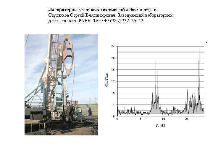 Лаборатория волновых технологий добычи нефти Сердюков Сергей Владимирович Заведующий лабораторией, д. т. н. ,