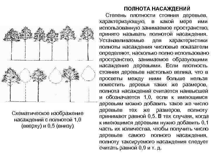 План таксации это