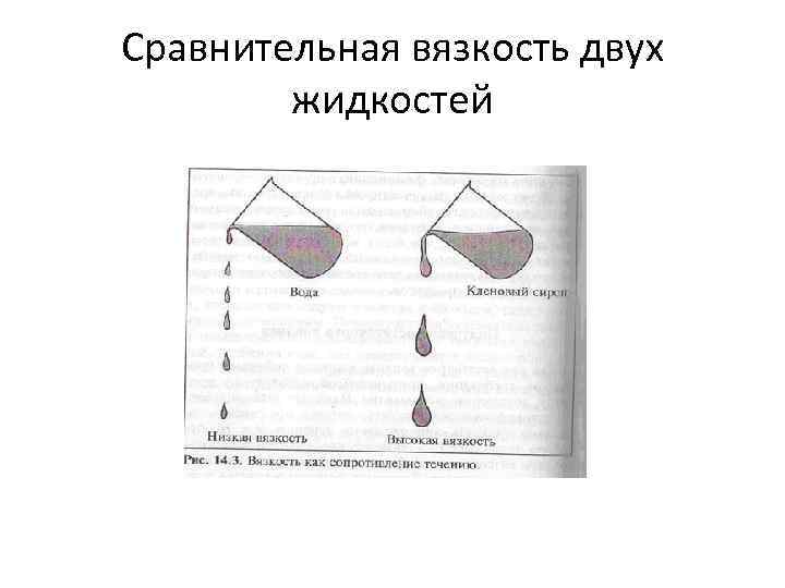 Сравнительная вязкость двух   жидкостей 