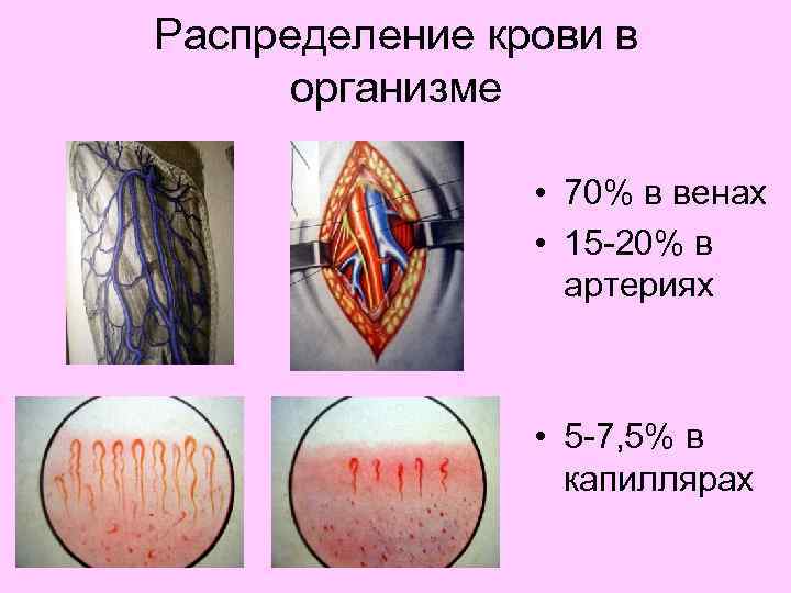 Кровотечения, способы временной и окончательной остановки кровотечения