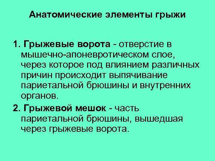  Анатомические элементы грыжи 1. Грыжевые ворота - отверстие в мышечно-апоневротическом слое, через которое