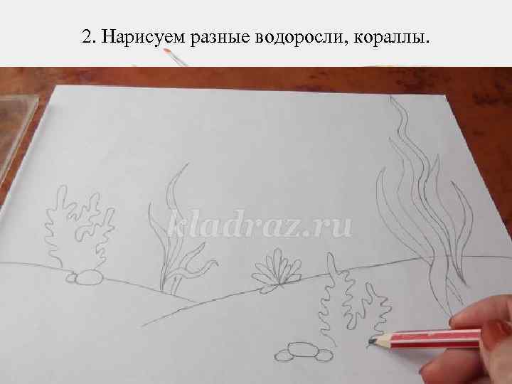 2. Нарисуем разные водоросли, кораллы. 