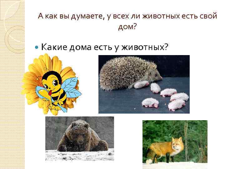 А как вы думаете, у всех ли животных есть свой    дом?