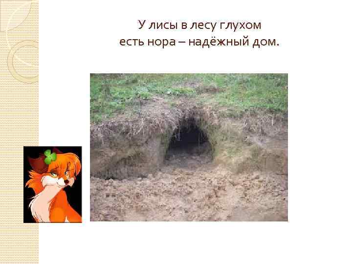   У лисы в лесу глухом есть нора – надёжный дом. 