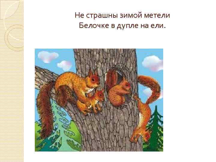 Не страшны зимой метели Белочке в дупле на ели. 