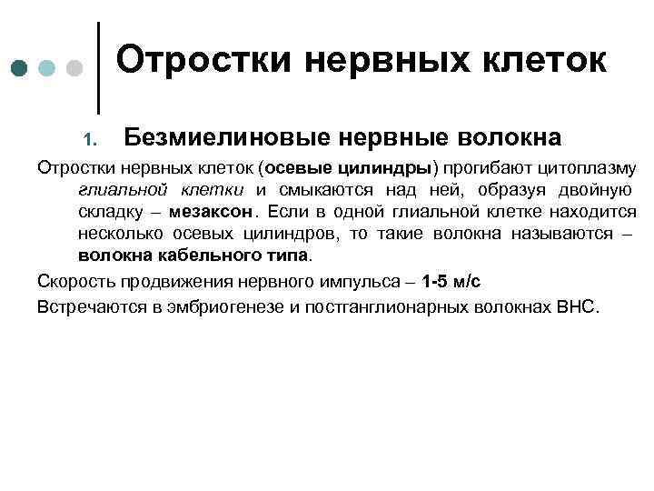  Отростки нервных клеток 1. Безмиелиновые нервные волокна Отростки нервных клеток (осевые цилиндры) прогибают