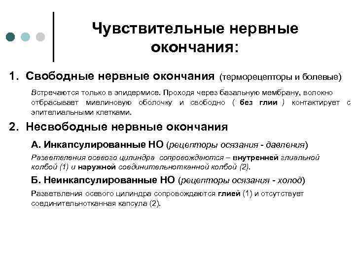  Чувствительные нервные окончания: 1. Свободные нервные окончания (терморецепторы и болевые) Встречаются только в