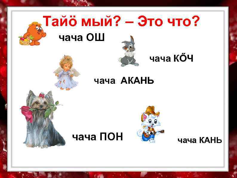 Тайö мый? – Это что?  чача ОШ   чача КŐЧ  