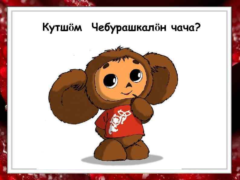 Кутшӧм Чебурашкалӧн чача? 