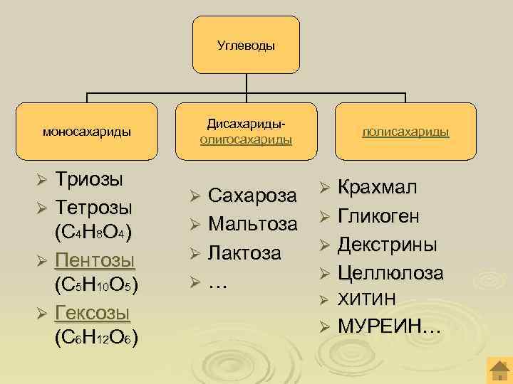 Углеводы моносахариды презентация