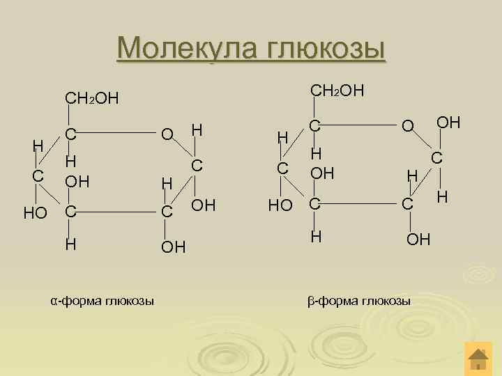  Молекула глюкозы СН 2 ОН Н С О ОН С О Н Н