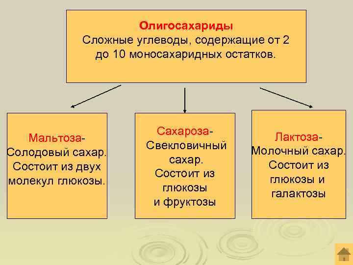  Олигосахариды Сложные углеводы, содержащие от 2 до 10 моносахаридных остатков. Сахароза- Лактоза- Мальтоза-