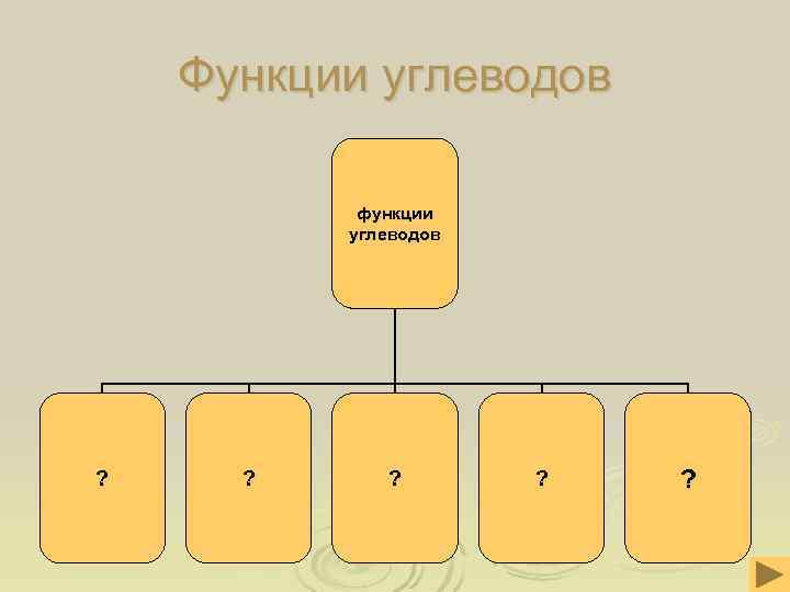  Функции углеводов функции углеводов ? ? ? ? 