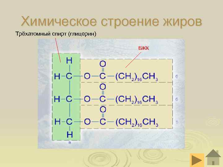  Химическое строение жиров Трёхатомный спирт (глицерин) ВЖК 