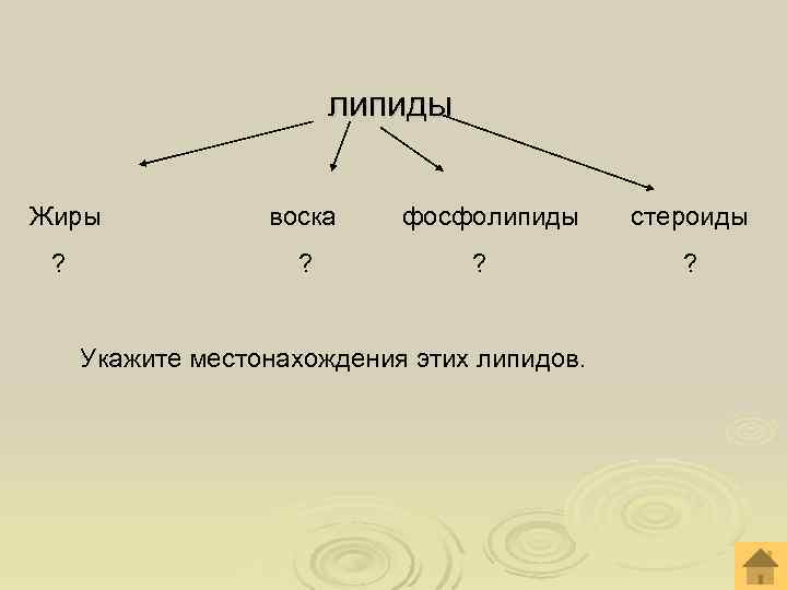  липиды Жиры воска фосфолипиды стероиды ? ? Укажите местонахождения этих липидов. 