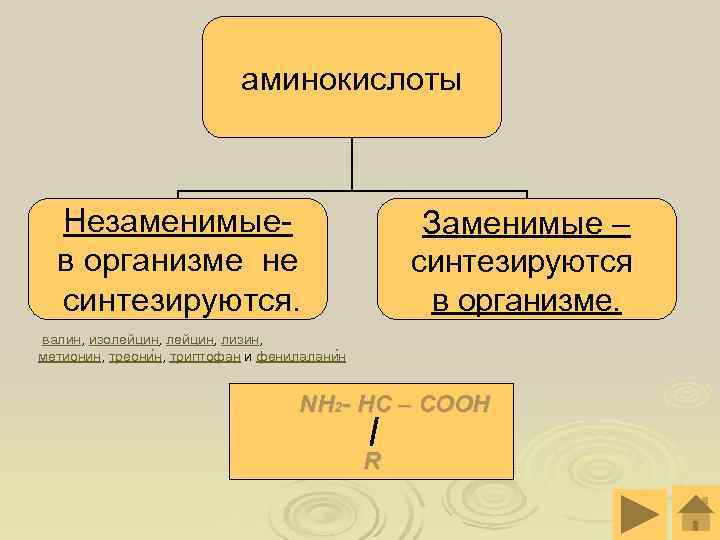  аминокислоты Незаменимые- Заменимые – в организме не синтезируются. в организме. валин, изолейцин, лизин,