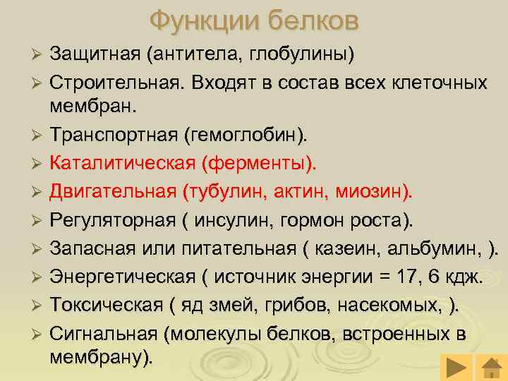  Функции белков Ø Защитная (антитела, глобулины) Ø Строительная. Входят в состав всех клеточных