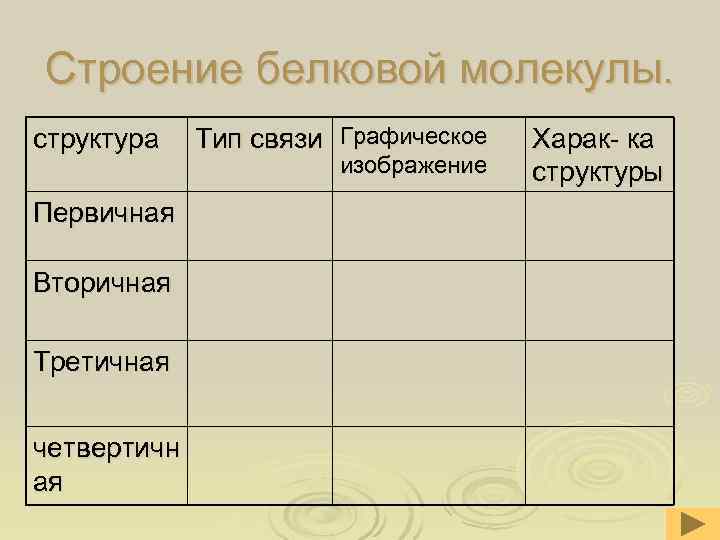 Строение белковой молекулы. структура Тип связи Графическое Харак- ка изображение структуры Первичная Вторичная Третичная