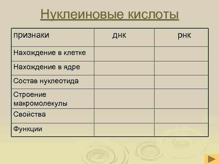  Нуклеиновые кислоты признаки днк рнк Нахождение в клетке Нахождение в ядре Состав нуклеотида