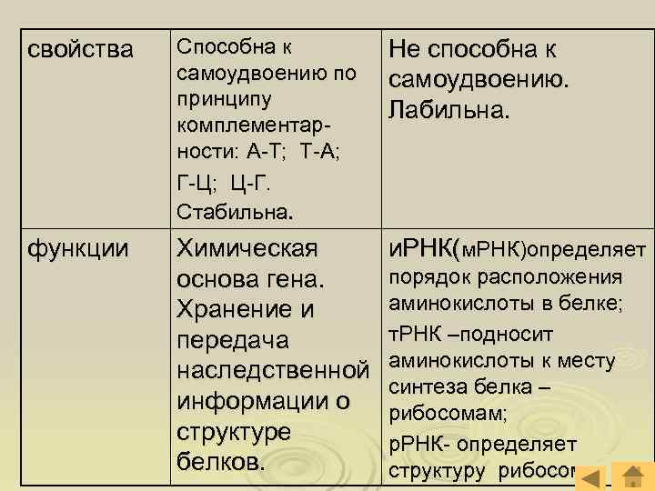 свойства Способна к Не способна к самоудвоению по самоудвоению. принципу Лабильна. комплементар- ности: А-Т;