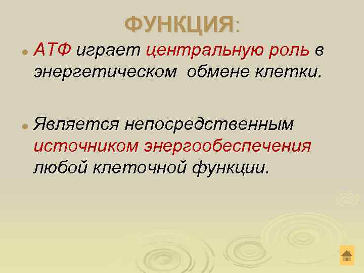  ФУНКЦИЯ: l АТФ играет центральную роль в энергетическом обмене клетки. l Является непосредственным