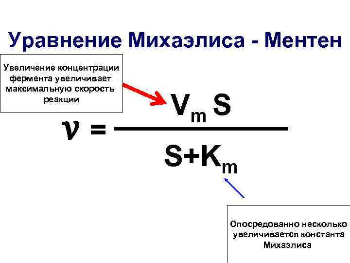 Уравнение Михаэлиса - Ментен Увеличение концентрации фермента увеличивает максимальную скорость реакции Vm S v=