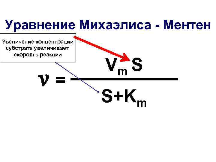 Уравнение Михаэлиса - Ментен Увеличение концентрации субстрата увеличивает скорость реакции Vm S v= S+Km