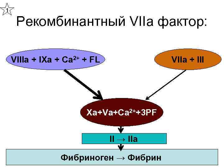 1 Рекомбинантный VIIa фактор: VIIIa + IXa + Ca 2+ + FL VIIa +