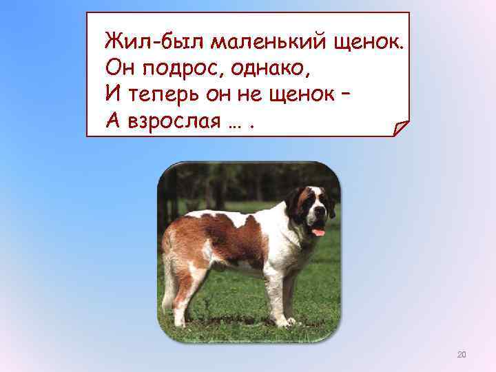 Жил-был маленький щенок. Он подрос, однако, И теперь он не щенок – А взрослая