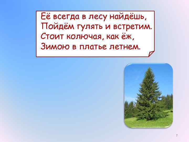 Её всегда в лесу найдёшь, Пойдём гулять и встретим. Стоит колючая, как ёж, Зимою