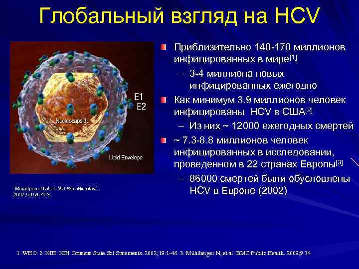  Глобальный взгляд на HCV Приблизительно 140 -170 миллионов инфицированных в мире[1] – 3