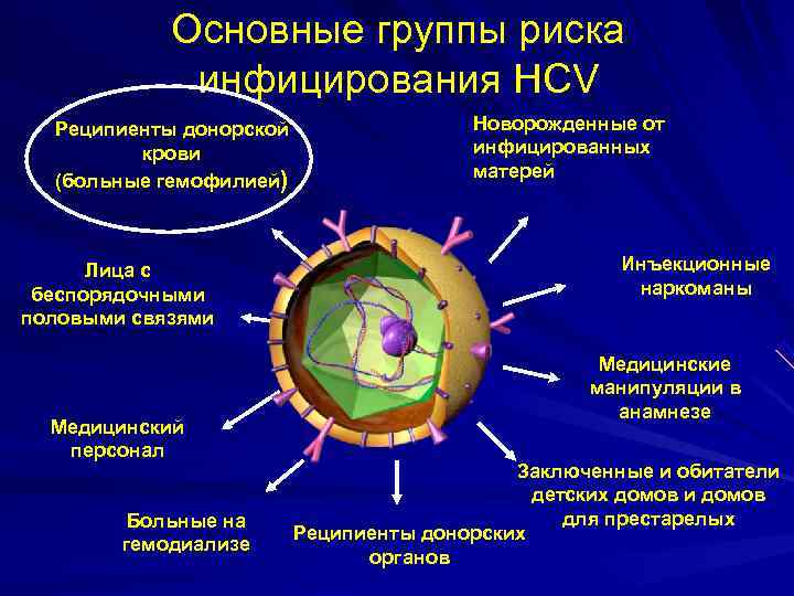  Основные группы риска инфицирования HCV Реципиенты донорской Новорожденные от крови инфицированных матерей (больные