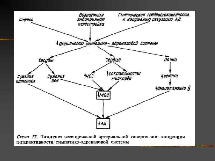 Климактерическая артериальная гипертензия этиология патогенез клиническая картина лечение